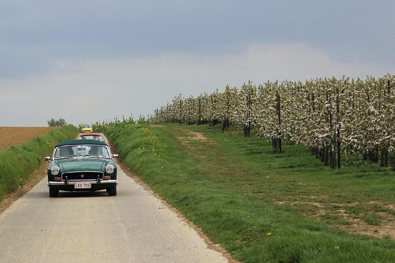 Follow the leader op 13-4-2014 org. Jos & Marie-lou (50).JPG